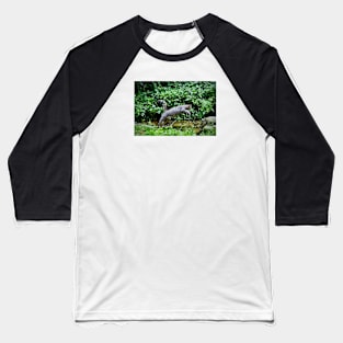 Wild cat V / Swiss Artwork Photography Baseball T-Shirt